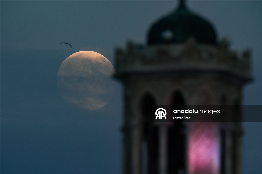 Полная луна создала живописные виды 5