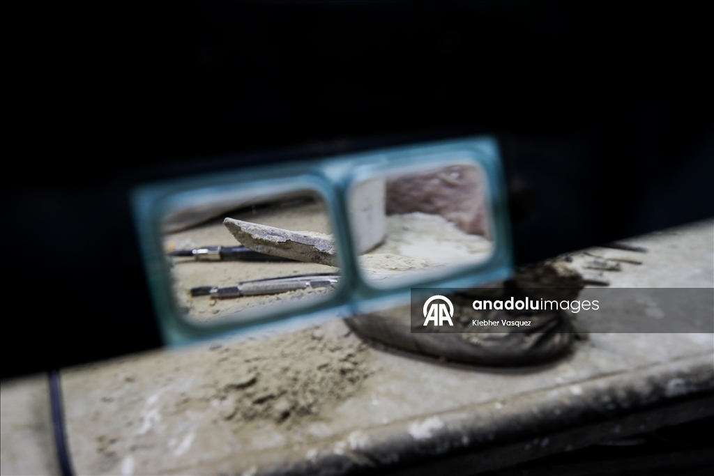 Peruvian scientists restore fossil of a seabird from 20 million years ago