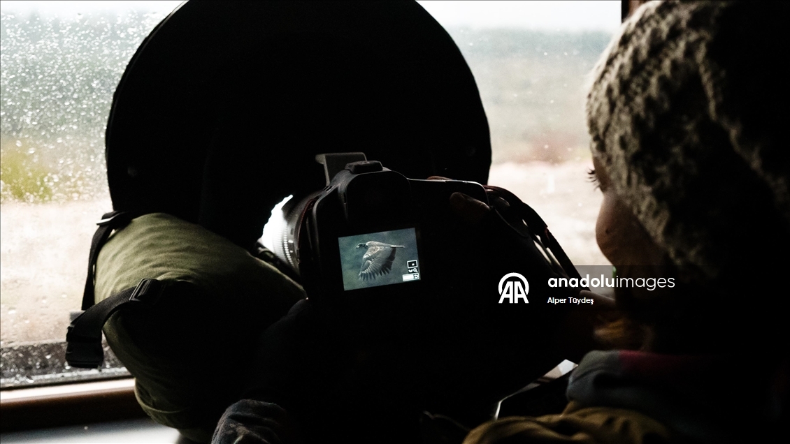 Türkiye’nin tek akbaba istasyonu