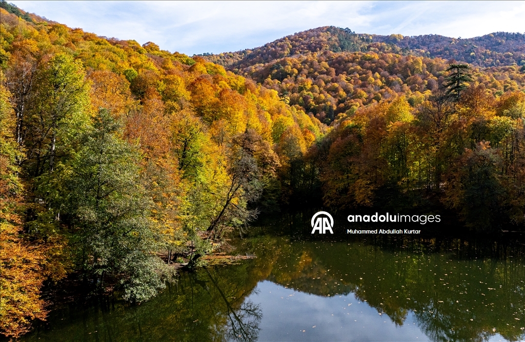 Orman denizi Yedigöller'de sonbahar renkleri