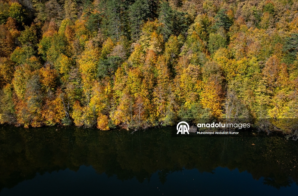 Orman denizi Yedigöller'de sonbahar renkleri