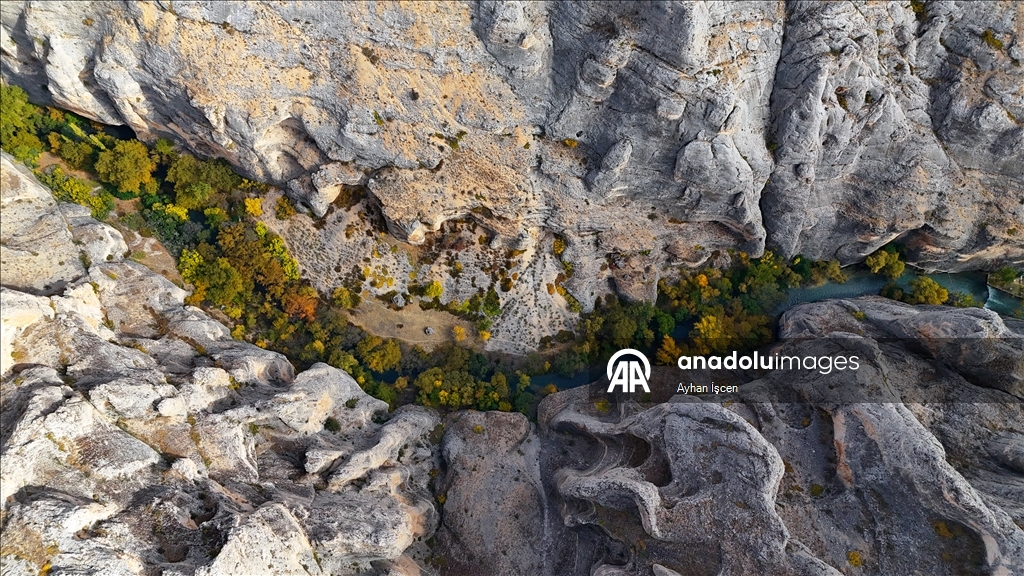 Li Kanyona Tohmayê xemla rengên payîzê