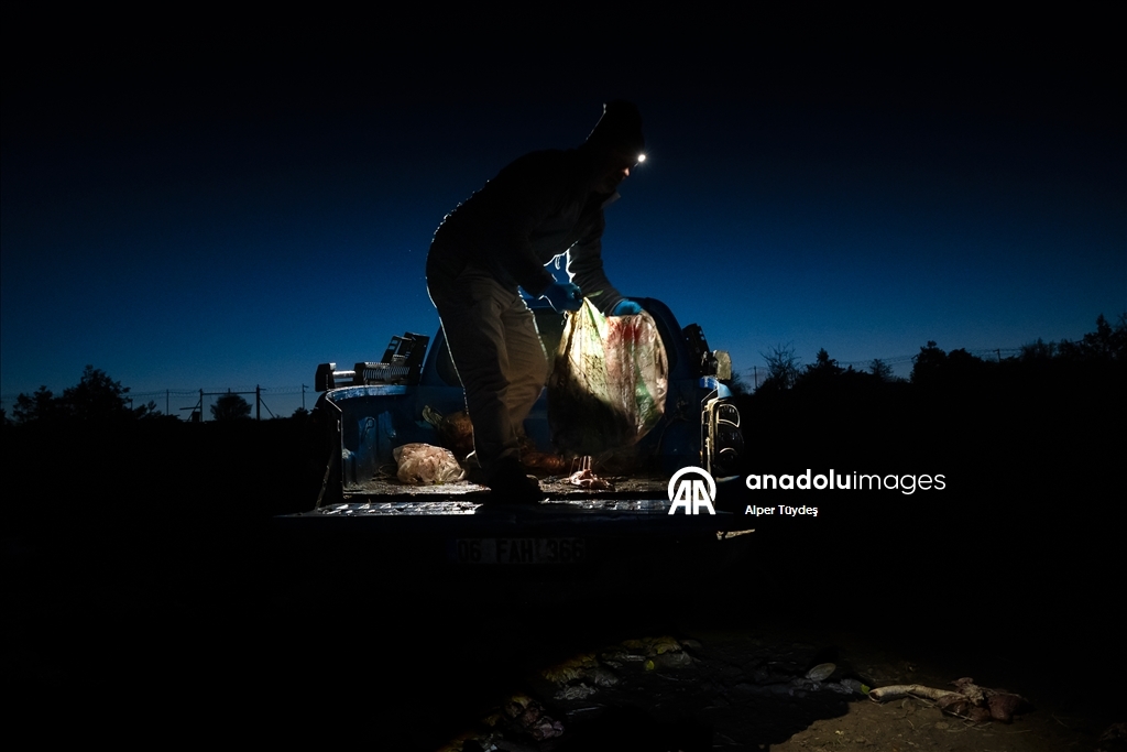 Türkiye’nin tek akbaba istasyonu