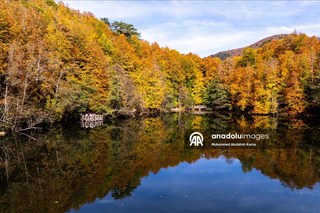 Orman denizi Yedigöller'de sonbahar renkleri