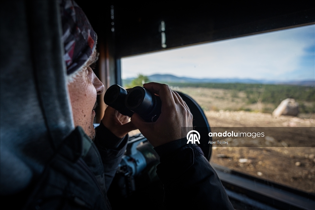 Turkiye’s only vulture observation station in Bolu
