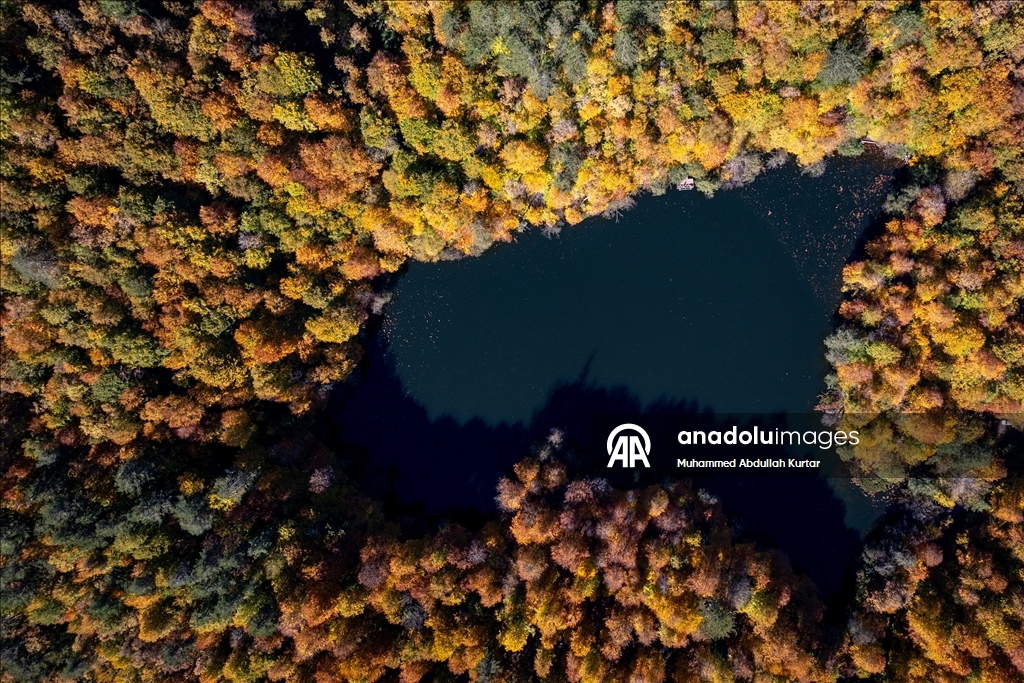 Orman denizi Yedigöller'de sonbahar renkleri