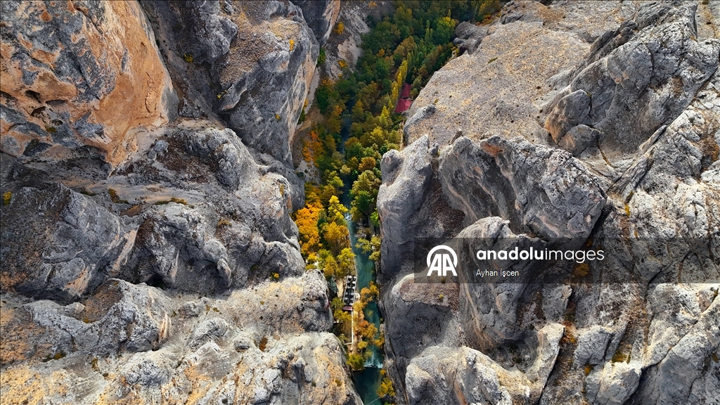 Li Kanyona Tohmayê xemla rengên payîzê