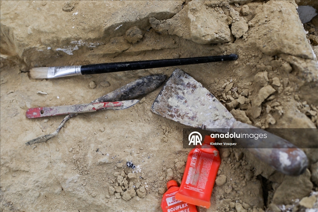 Peruvian scientists restore fossil of a seabird from 20 million years ago