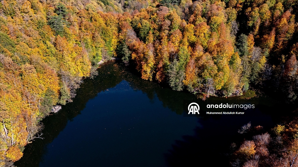 Orman denizi Yedigöller'de sonbahar renkleri