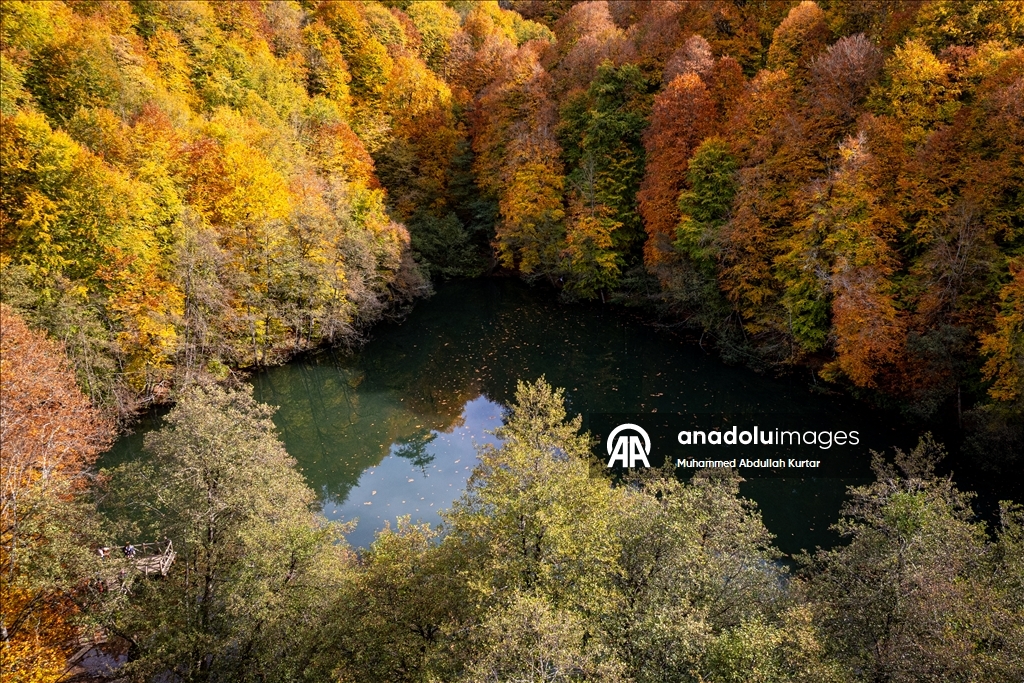Orman denizi Yedigöller'de sonbahar renkleri