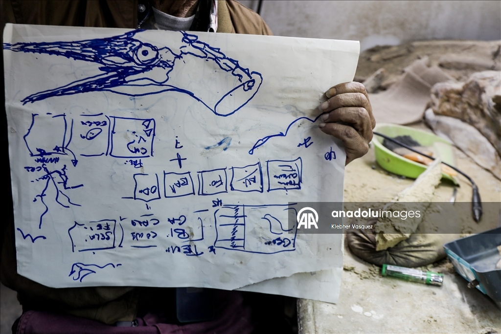 Peruvian scientists restore fossil of a seabird from 20 million years ago