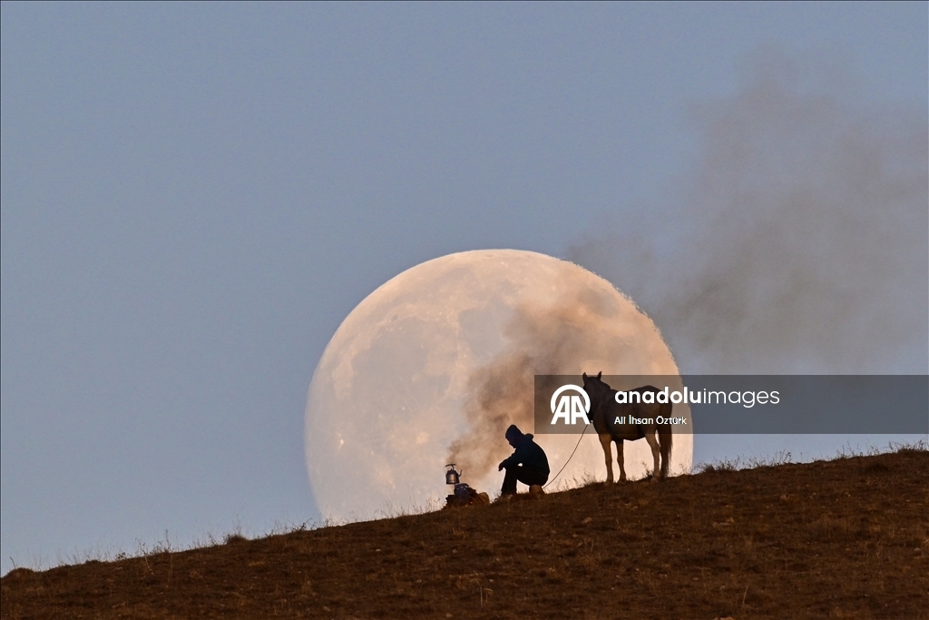 Полная луна создала живописные виды 1