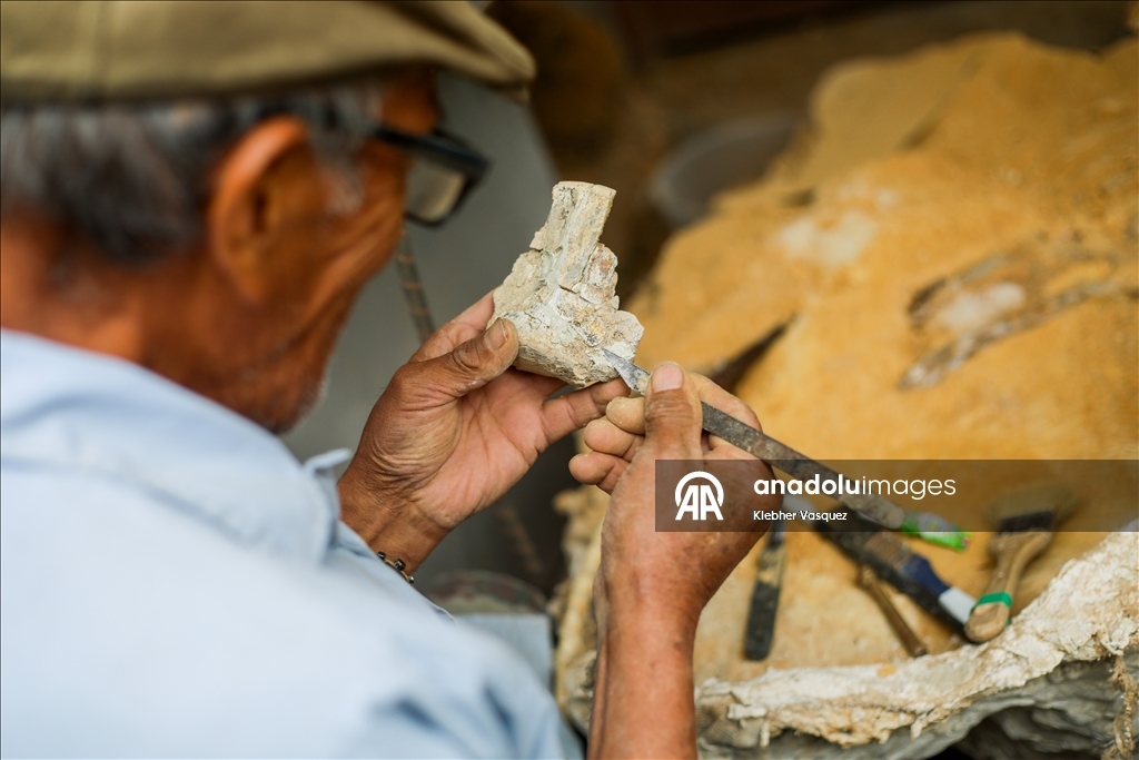 Peruvian scientists restore fossil of a seabird from 20 million years ago