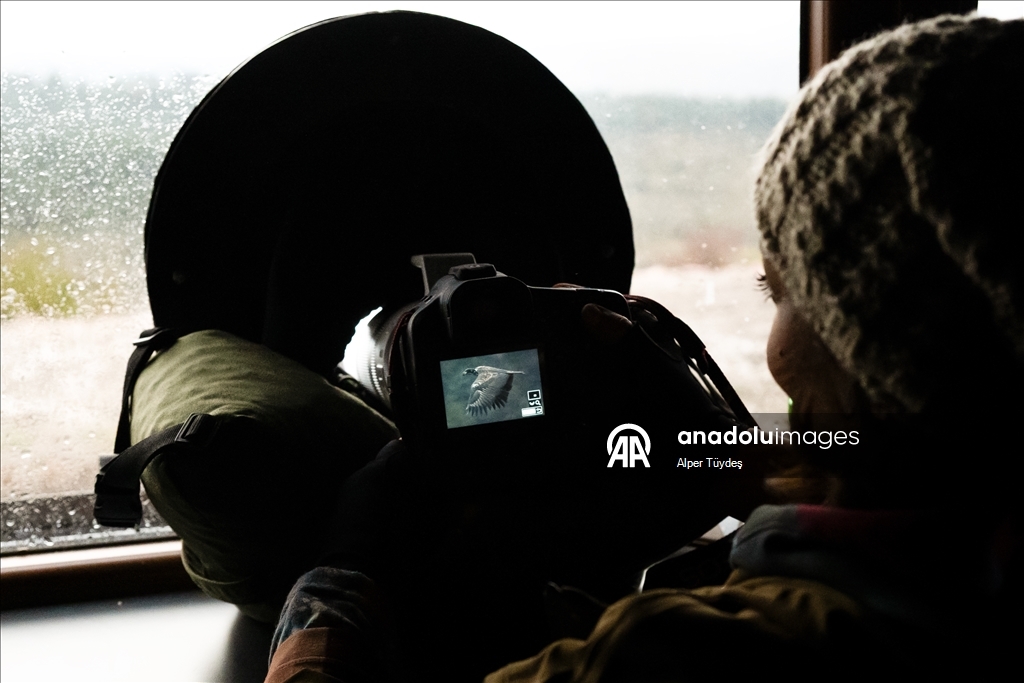 Turkiye’s only vulture observation station in Bolu