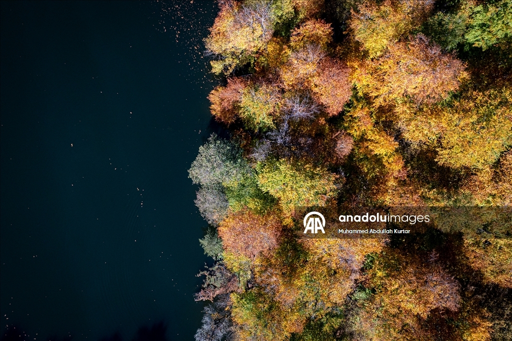 Orman denizi Yedigöller'de sonbahar renkleri