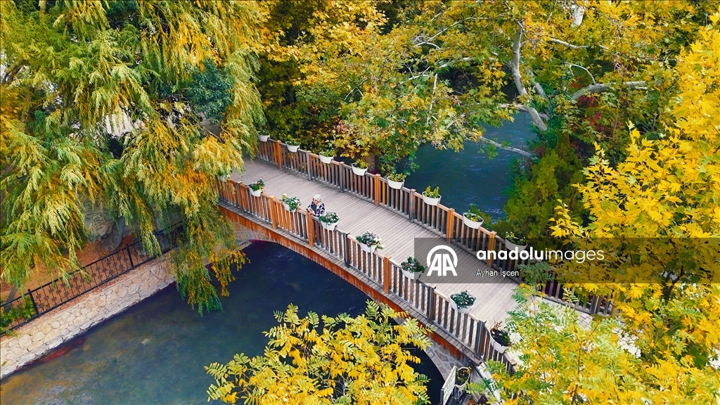 Li Kanyona Tohmayê xemla rengên payîzê