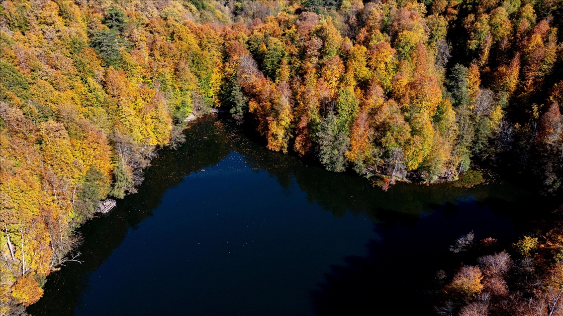 Orman denizi Yedigöller'de sonbahar renkleri