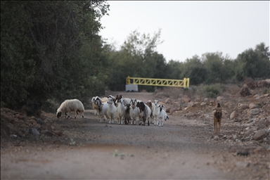 High-rise buildings reshape Moscow skyline