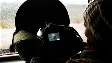 Türkiye’nin tek akbaba istasyonu