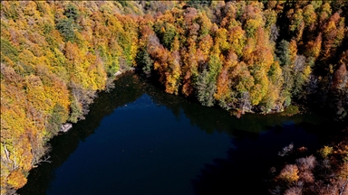 Orman denizi Yedigöller'de sonbahar renkleri