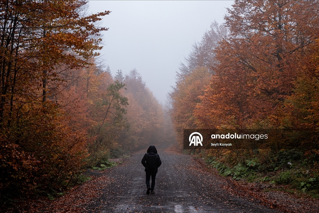 Kartepe’de sonbahar