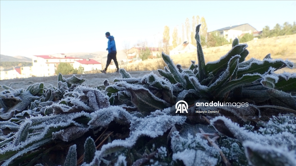 Kars’ta soğuk hava ve kırağı etkili oldu
