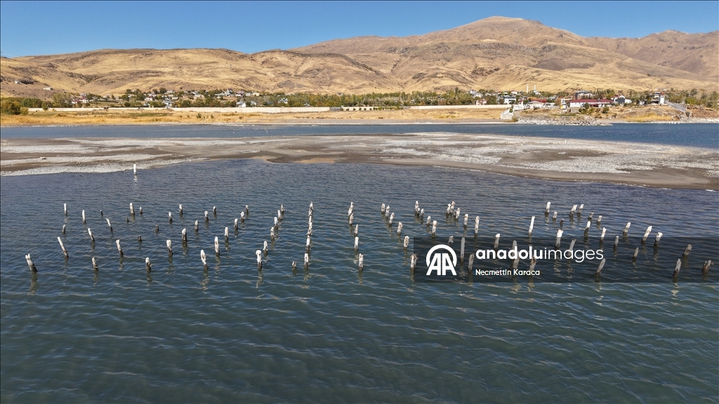 В озере Ван обнаружили столетний деревянные сваи старого причала