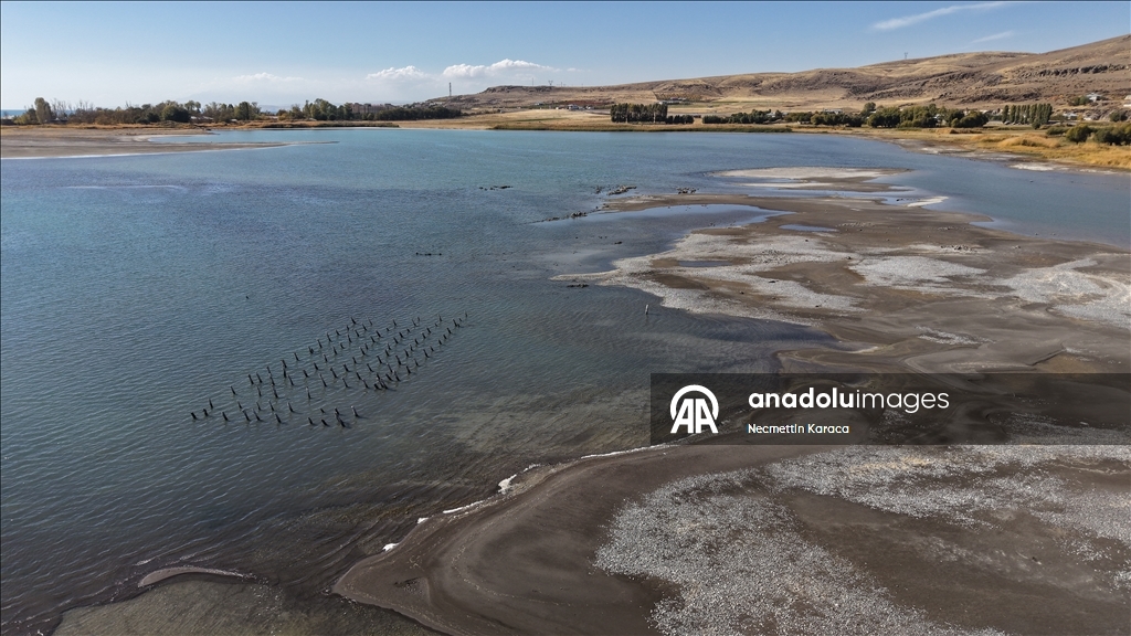 В озере Ван обнаружили столетний деревянные сваи старого причала