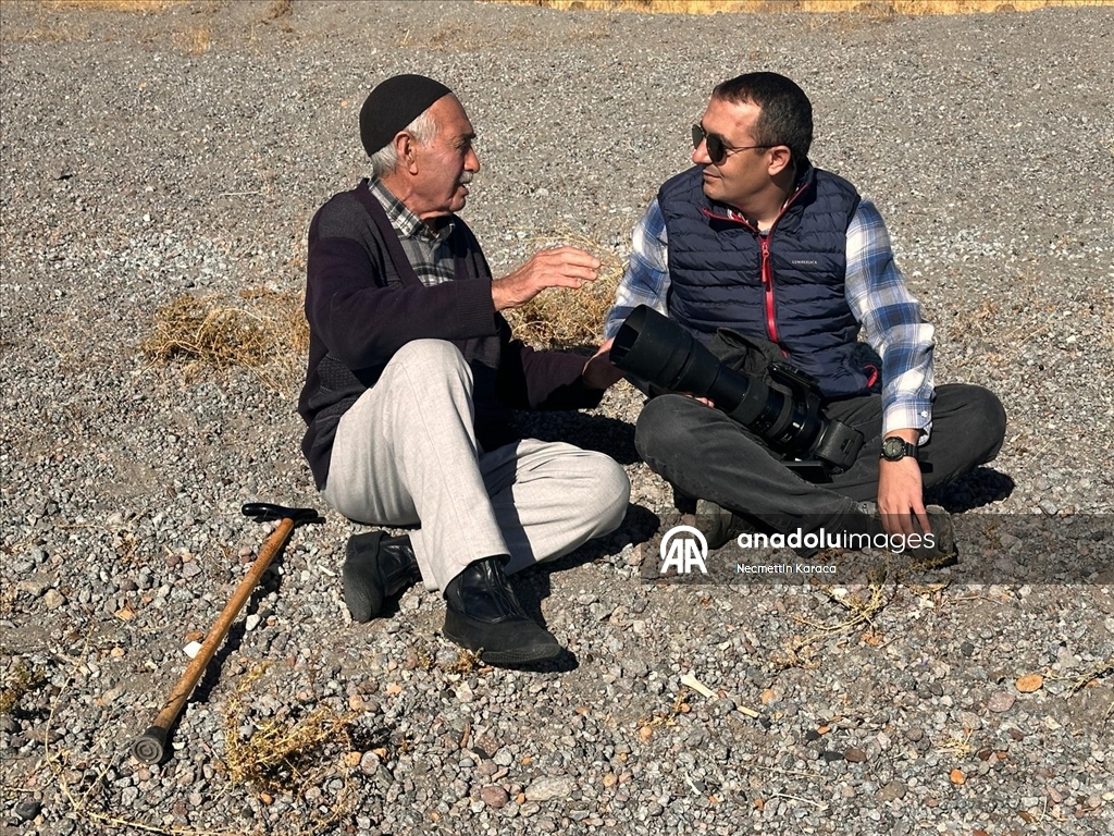 В озере Ван обнаружили столетний деревянные сваи старого причала