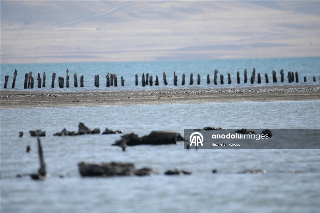 В озере Ван обнаружили столетний деревянные сваи старого причала