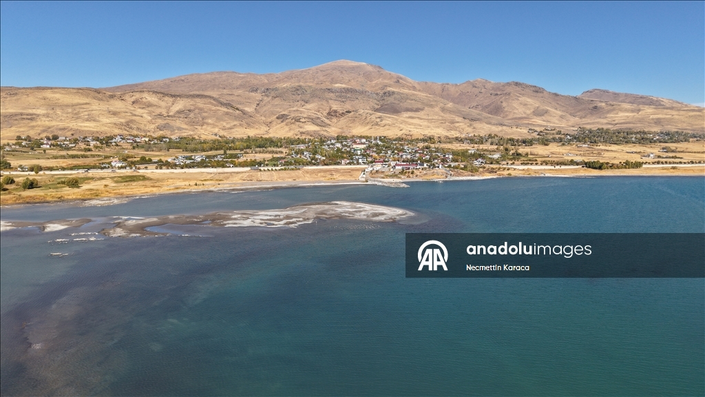 В озере Ван обнаружили столетний деревянные сваи старого причала