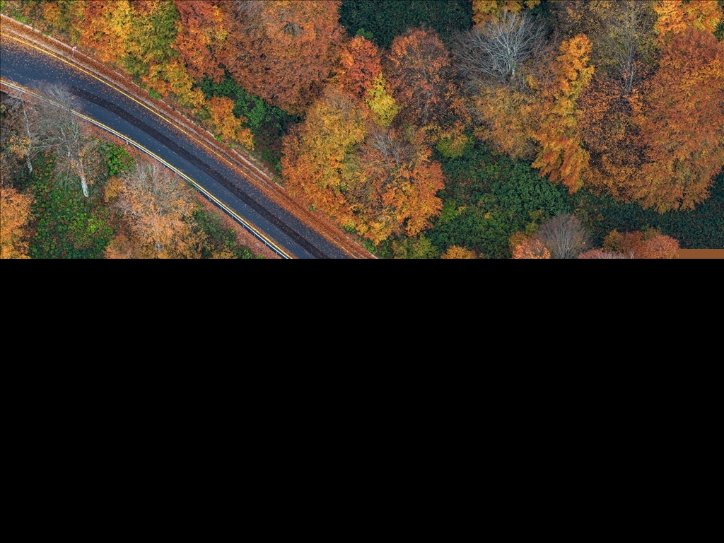 Kartepe’de sonbahar