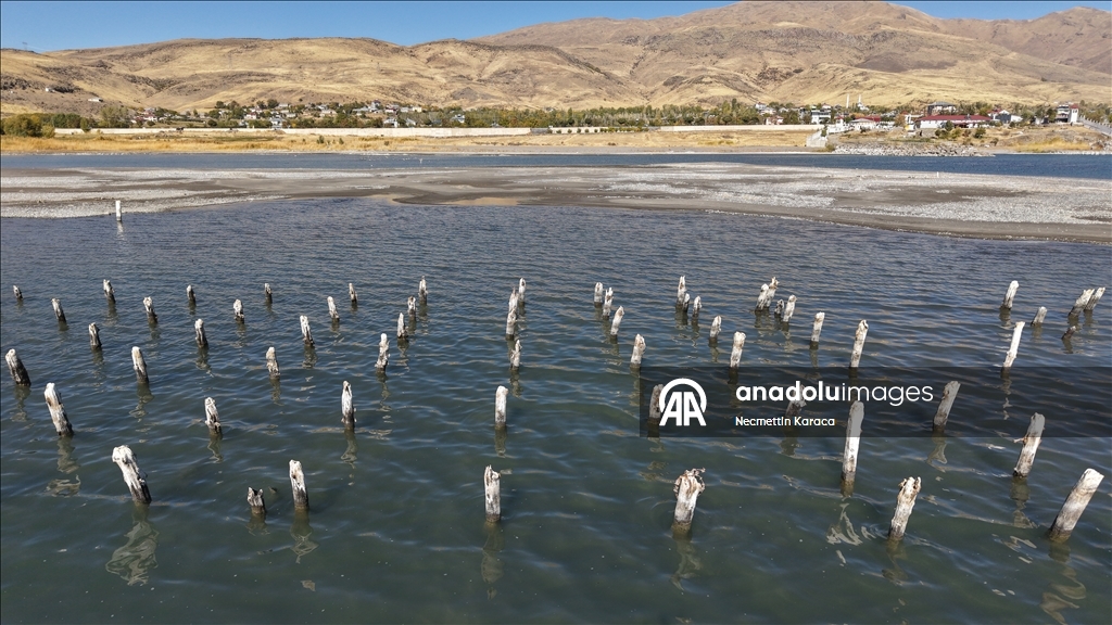 В озере Ван обнаружили столетний деревянные сваи старого причала
