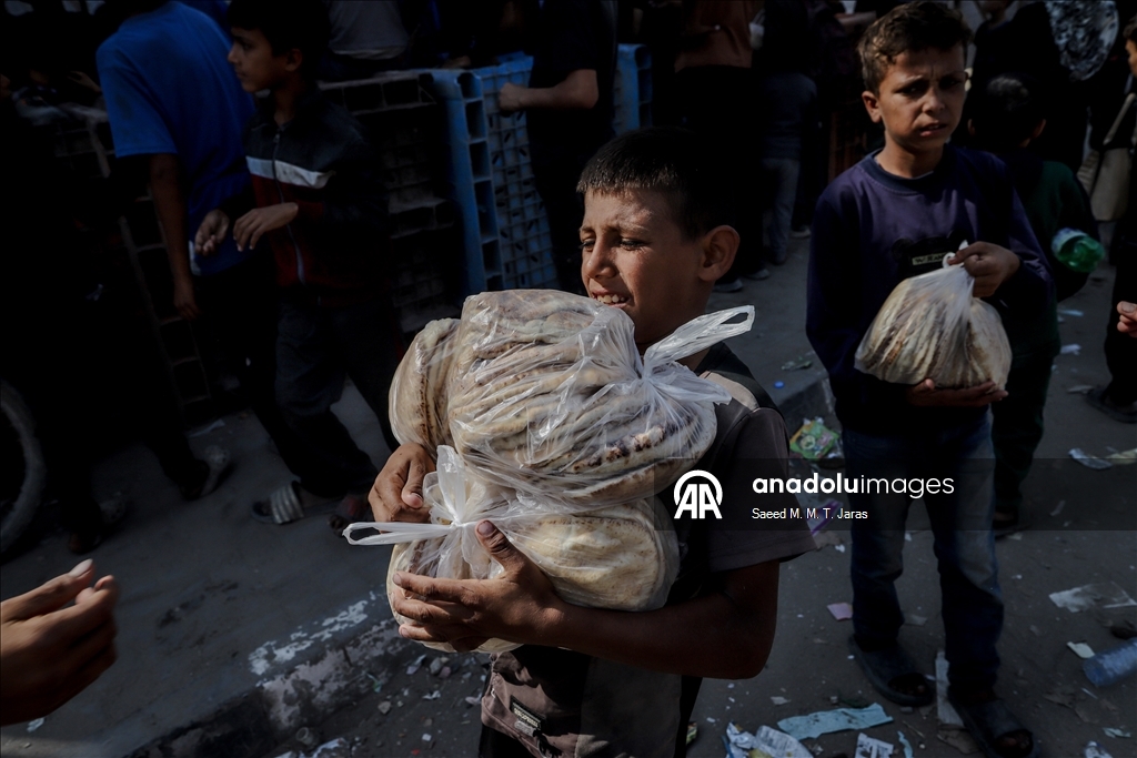 После вступления в силу режима прекращения огня ряд пекарней в секторе Газа возобновил работу