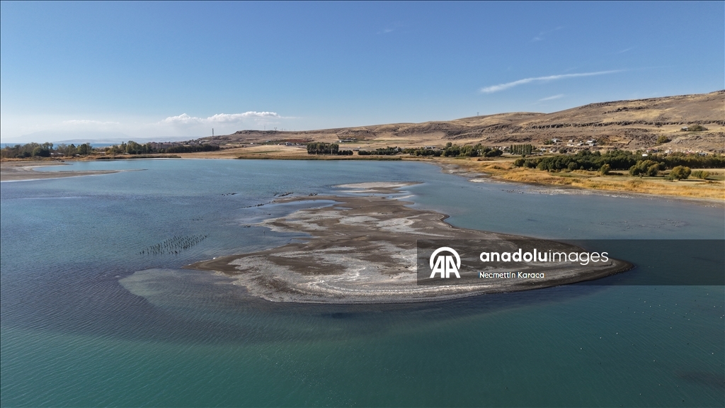 В озере Ван обнаружили столетний деревянные сваи старого причала