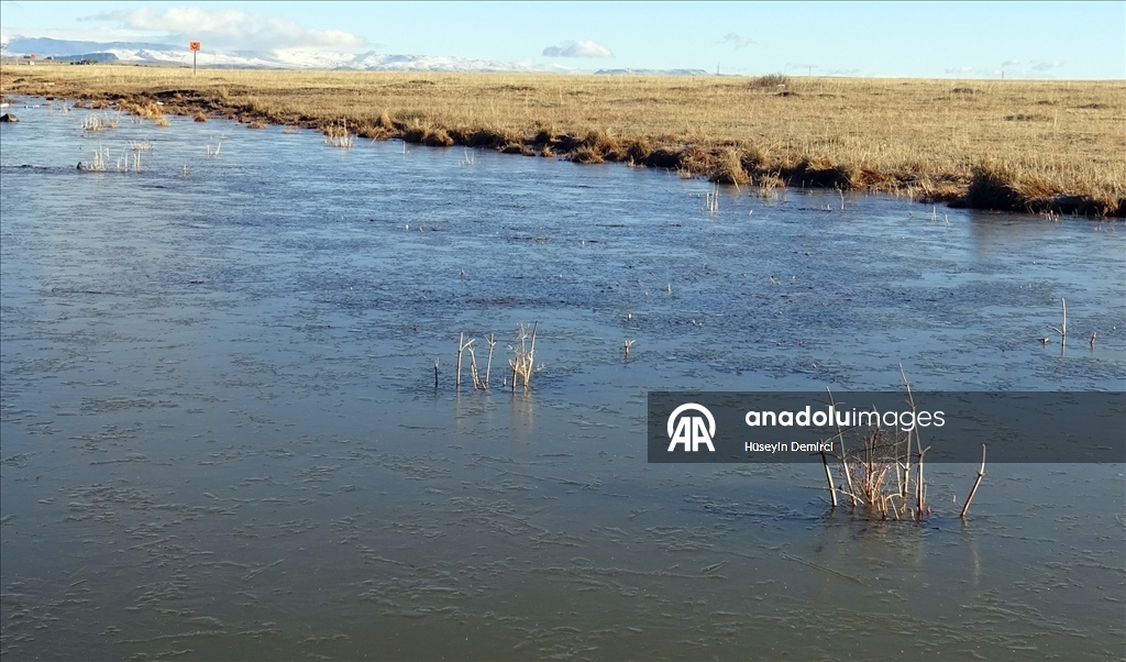 Kars’ta soğuk hava ve kırağı etkili oldu