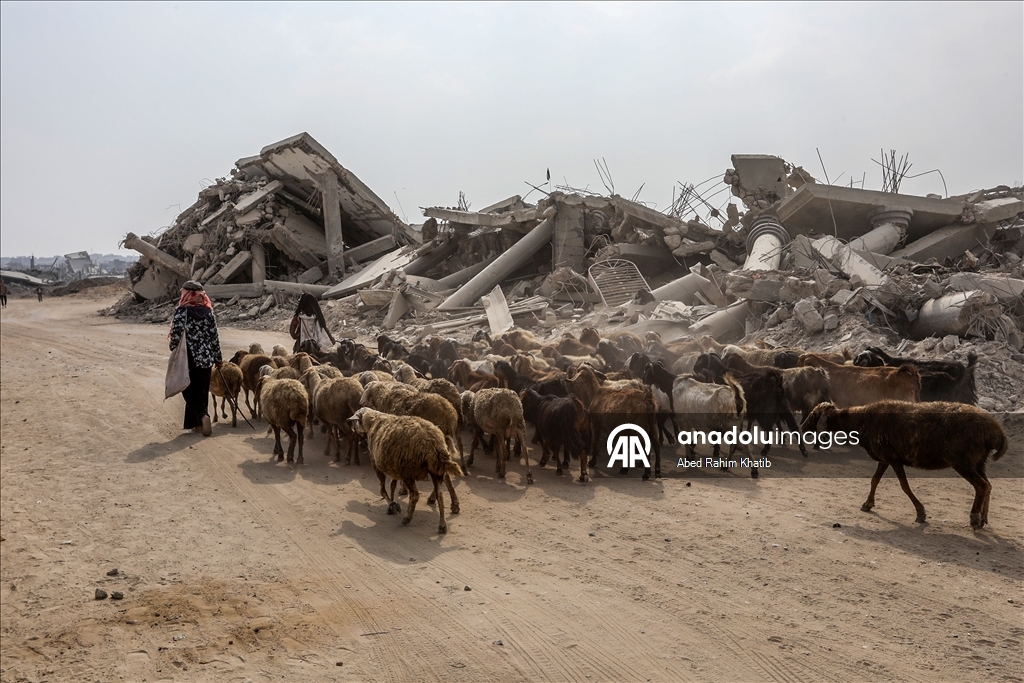 Han Yunus'taki Filistinli aileler enkaz arasında yaşam mücadelesi veriyor