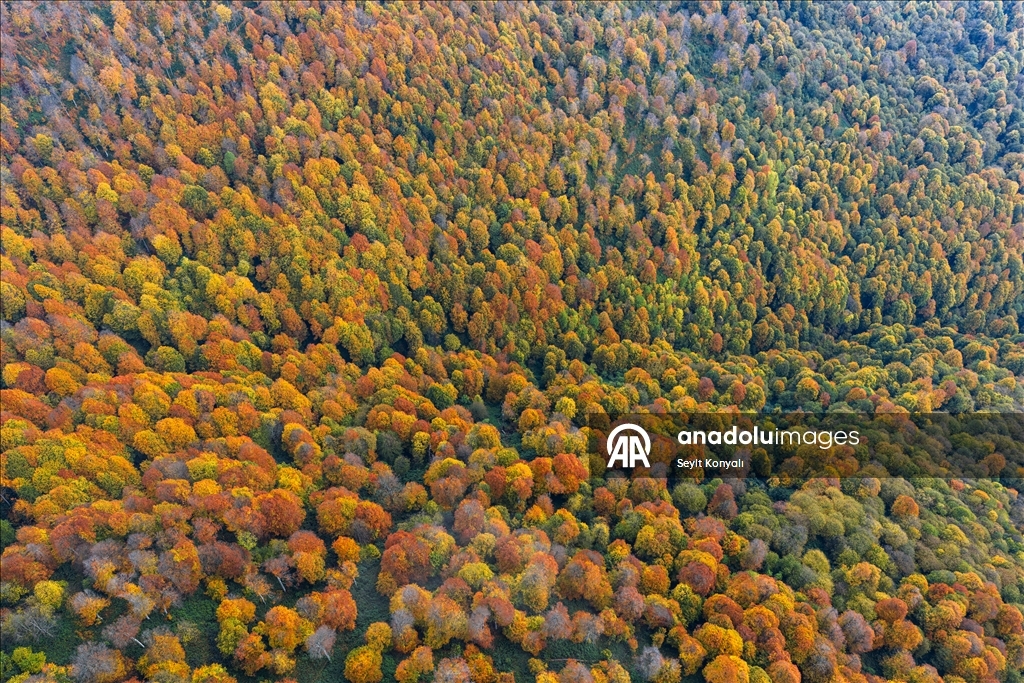 Kartepe’de sonbahar