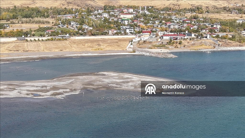 В озере Ван обнаружили столетний деревянные сваи старого причала