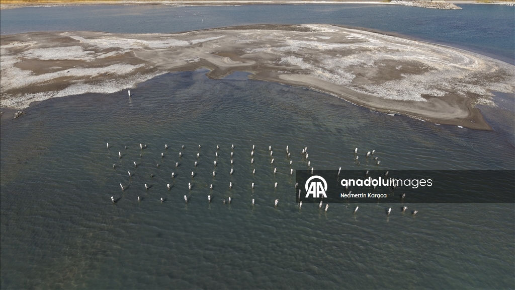 В озере Ван обнаружили столетний деревянные сваи старого причала