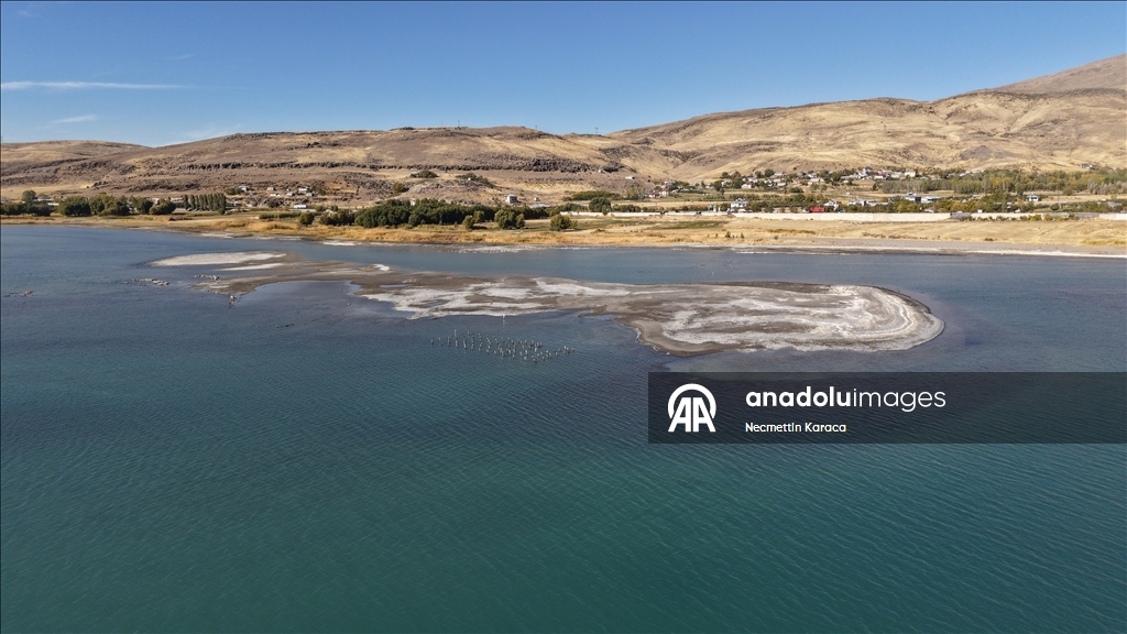 В озере Ван обнаружили столетний деревянные сваи старого причала