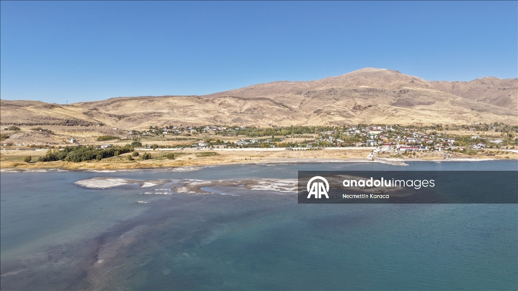 В озере Ван обнаружили столетний деревянные сваи старого причала