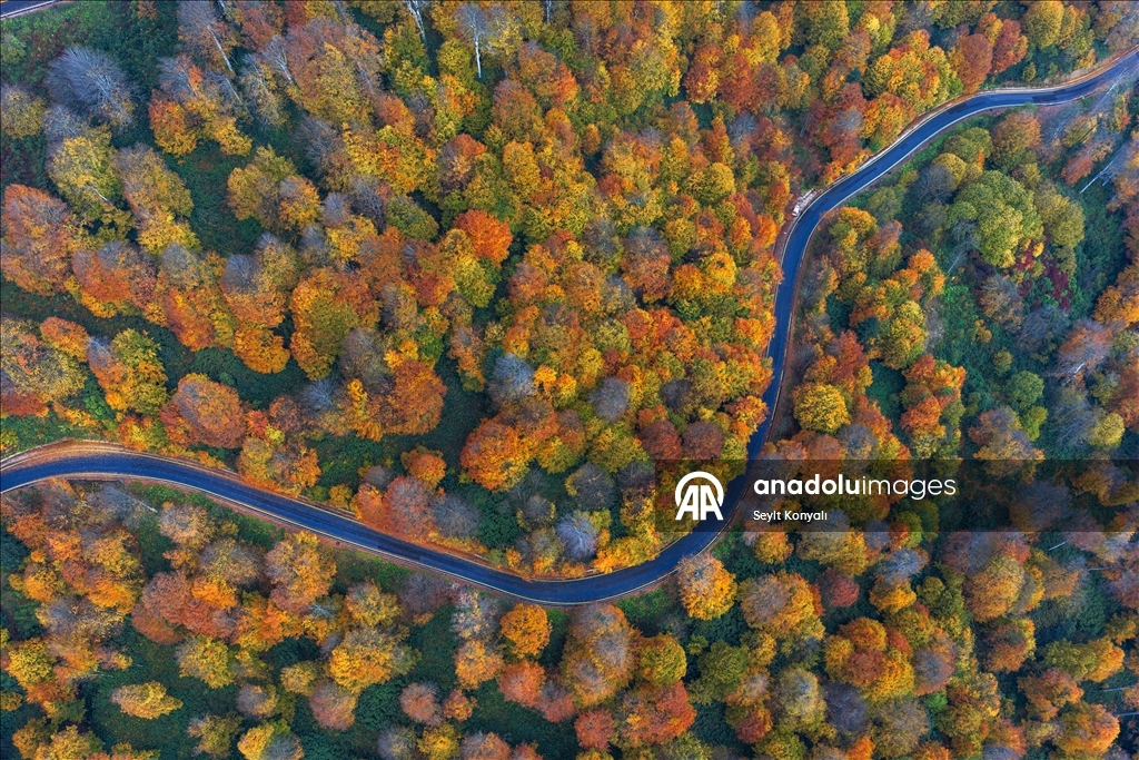 Kartepe’de sonbahar