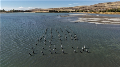В озере Ван обнаружили столетний деревянные сваи старого причала