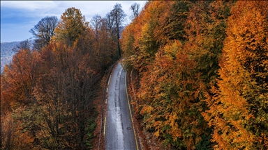 Kartepe’de sonbahar