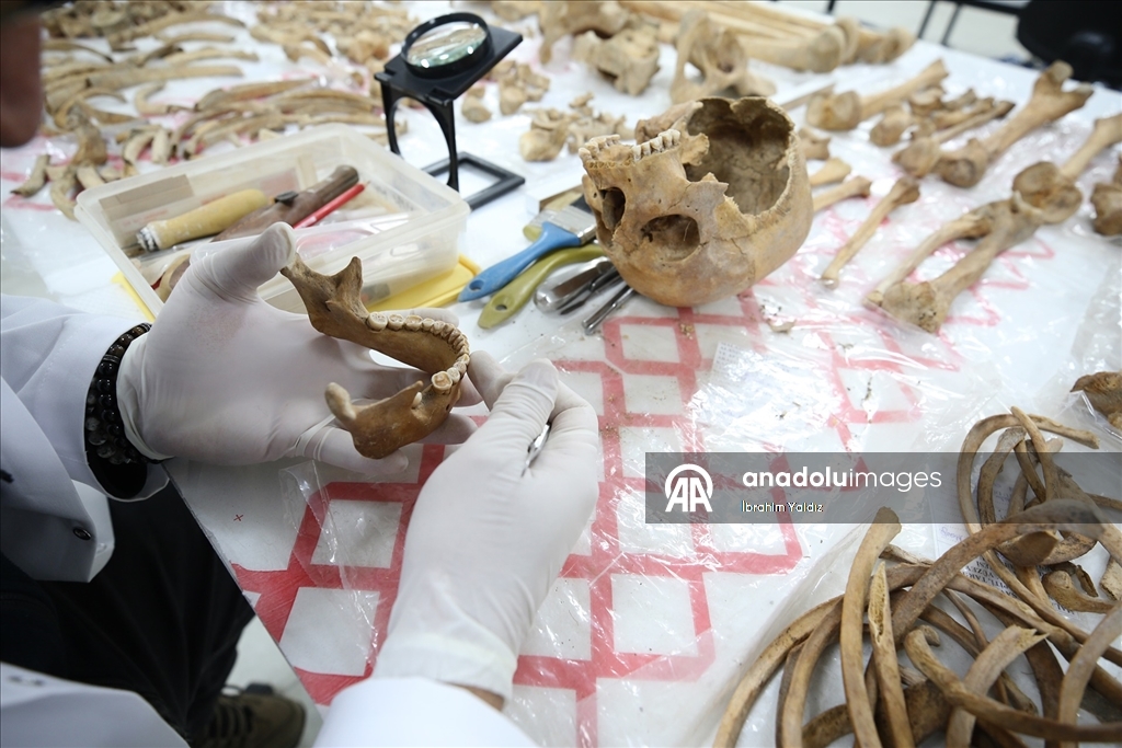 Malazgirt'teki kazılarda çıkarılan insan iskeletlerinin sırrı antropoloji laboratuvarında araştırılıyor
