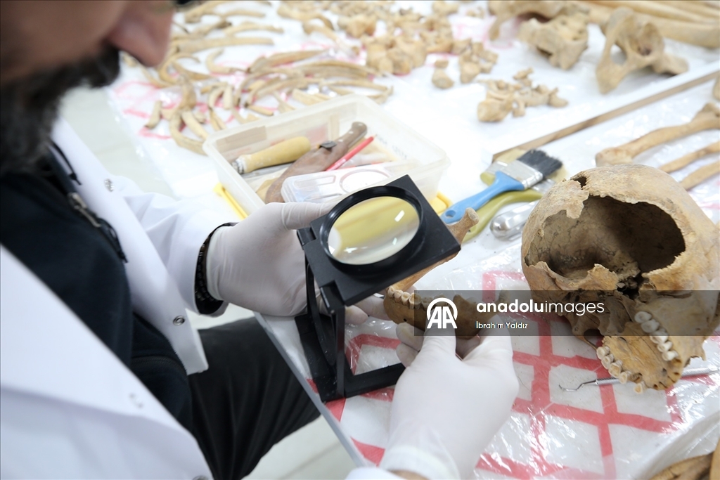 Malazgirt'teki kazılarda çıkarılan insan iskeletlerinin sırrı antropoloji laboratuvarında araştırılıyor