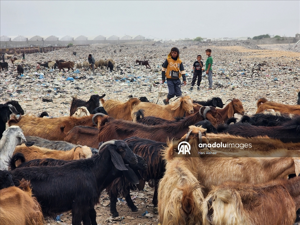 Gazze'de çocuklar, gıda ve temel ihtiyaç malzemeleri bulmak için çöp yığınlarını arıyor