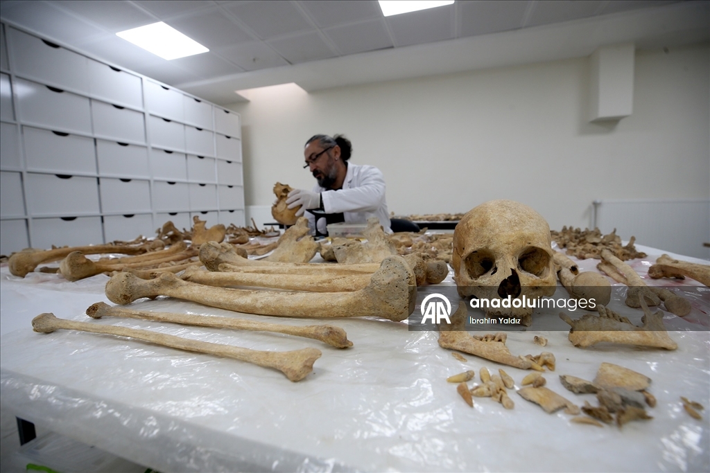 Malazgirt'teki kazılarda çıkarılan insan iskeletlerinin sırrı antropoloji laboratuvarında araştırılıyor