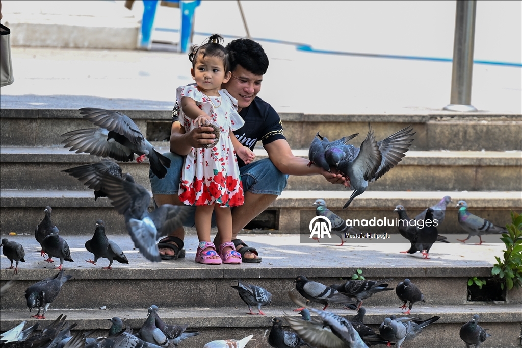 Tayland’ın Nakhon şehrindeki "Suan Rak Parkı" doğal güzelliği ve kültürel mirasıyla öne çıkıyor